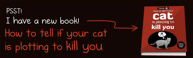 the oatmeal cat plotting to kill you