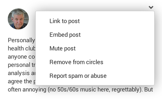 google plus testimonial embed option