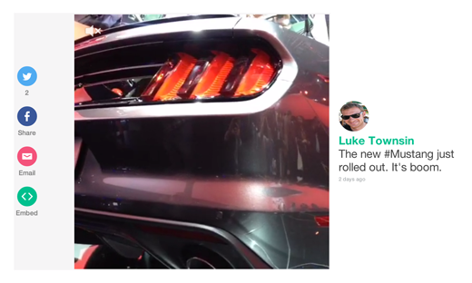 vine embed options