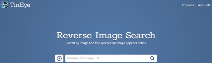 tineye-image-search LinkedIn - AOFIRS