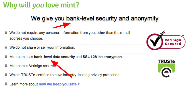 mint early homepage data security