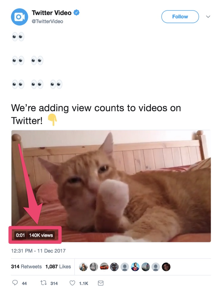 twitter video view count