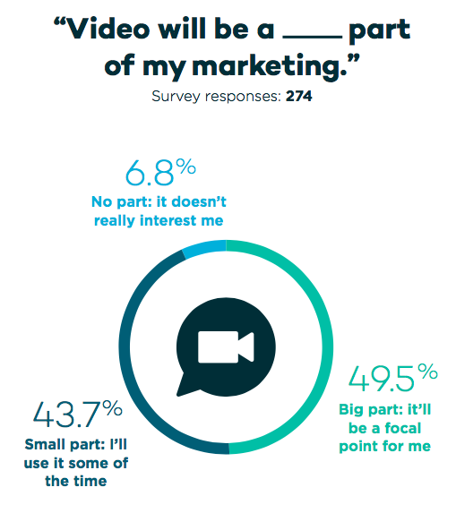 video marketing survey